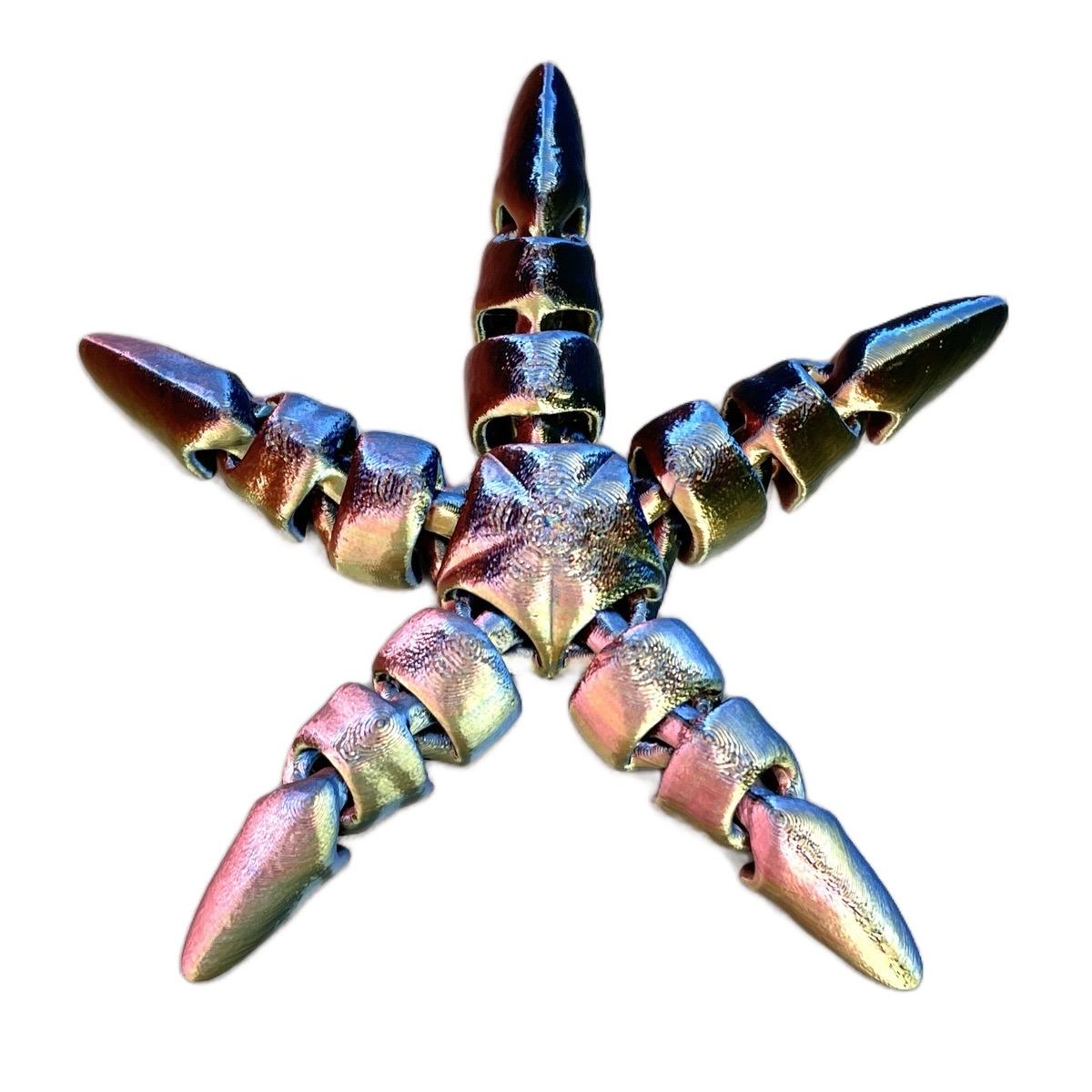 Fidget Starfish