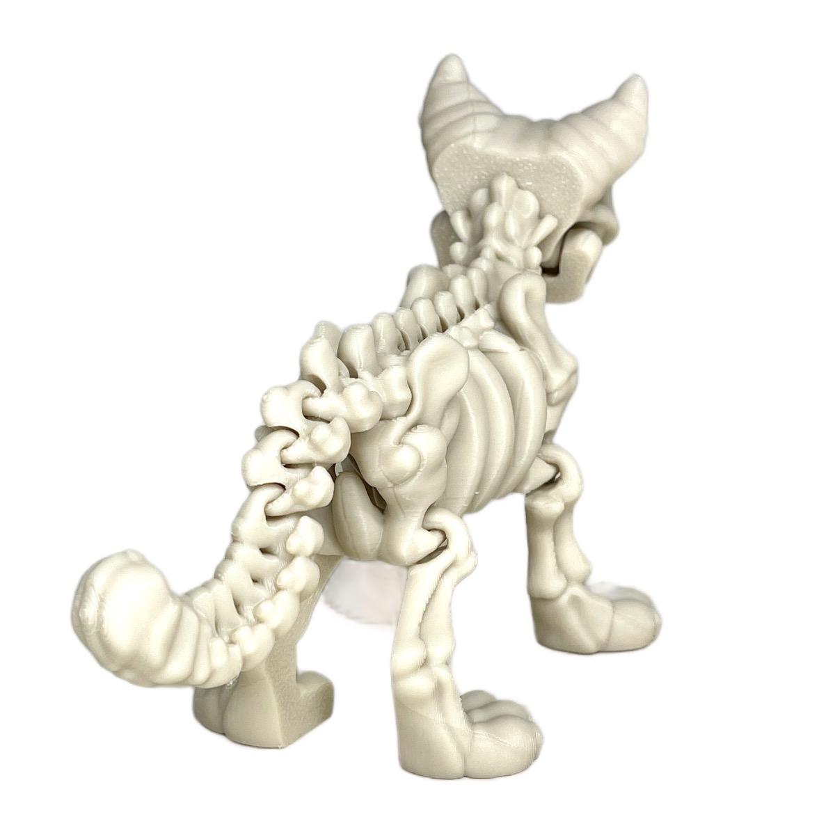 Skeleton Cat