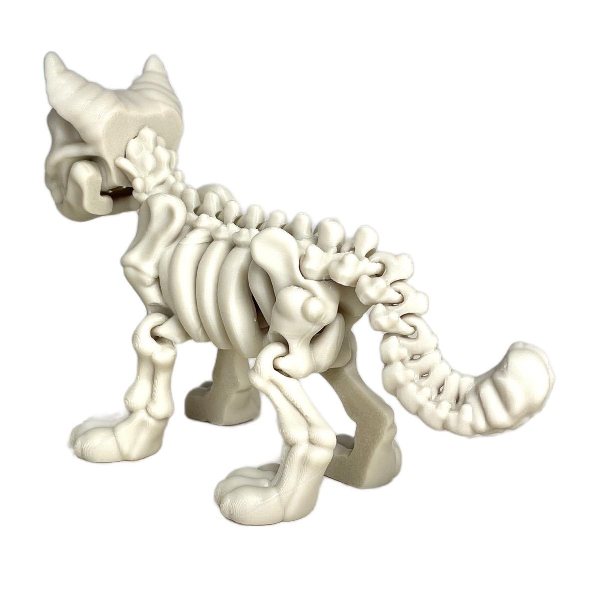 Skeleton Cat