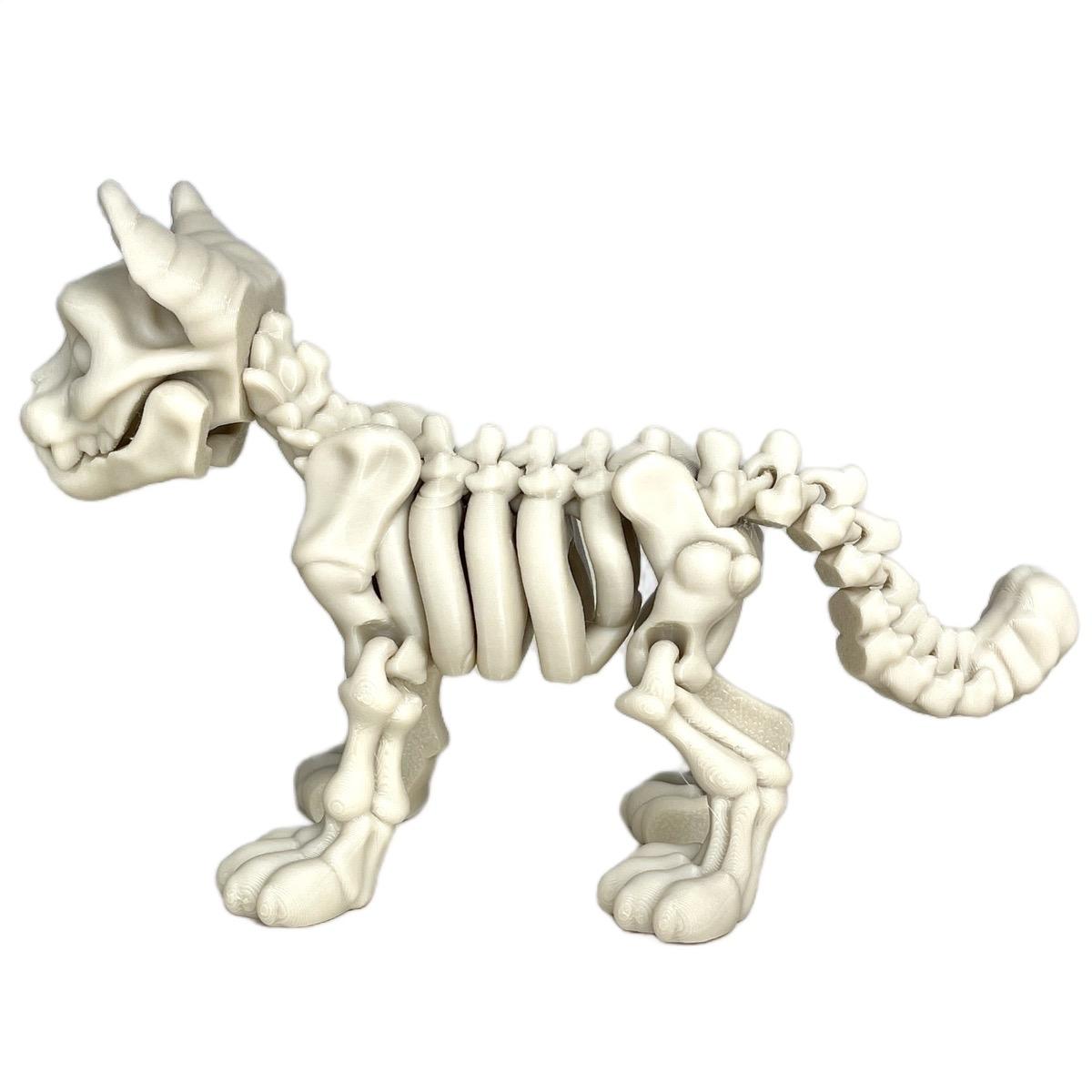 Skeleton Cat