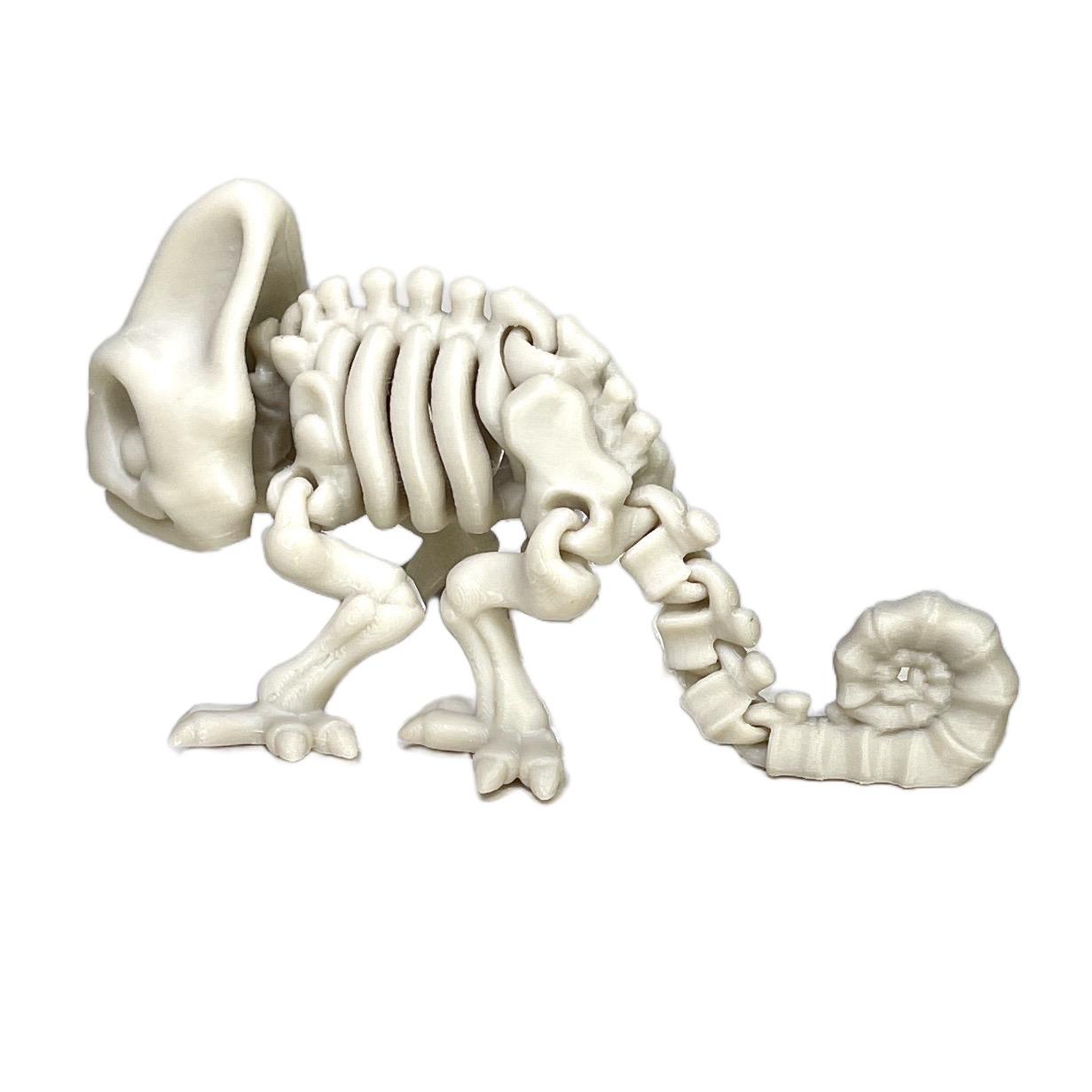 Skeleton Chameleon