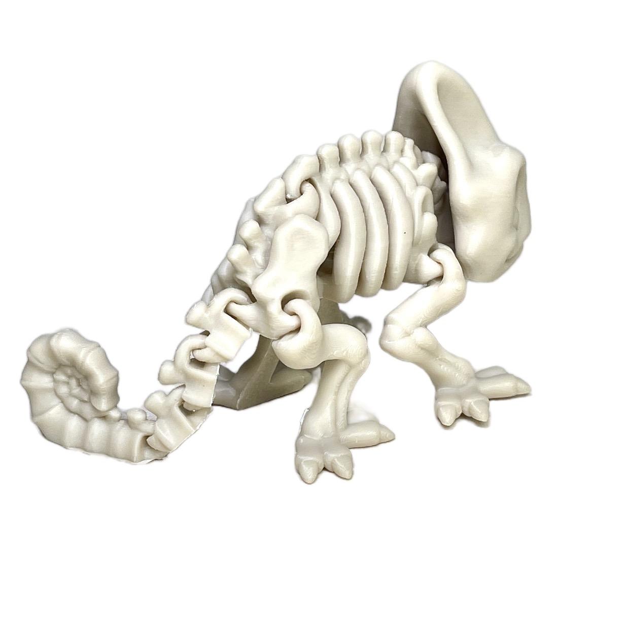 Skeleton Chameleon