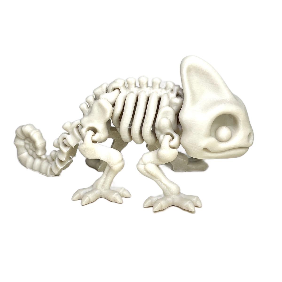 Skeleton Chameleon