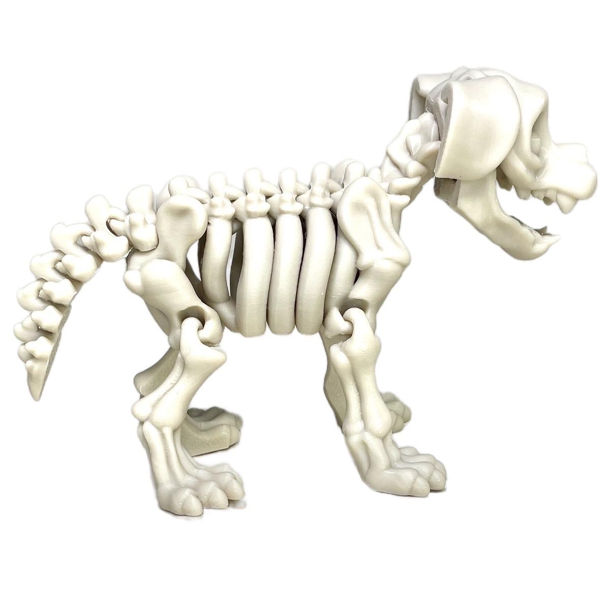 Skeleton Dog