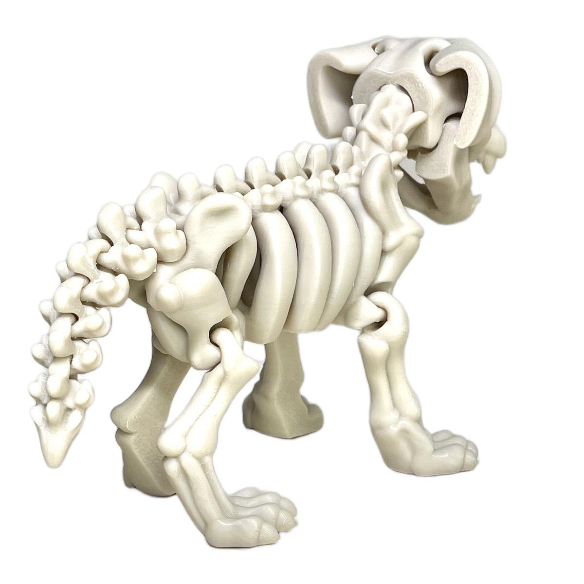 Skeleton Dog