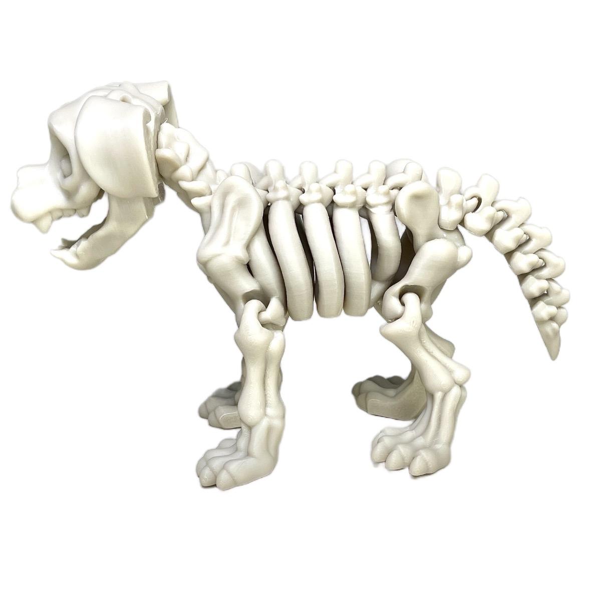 Skeleton Dog