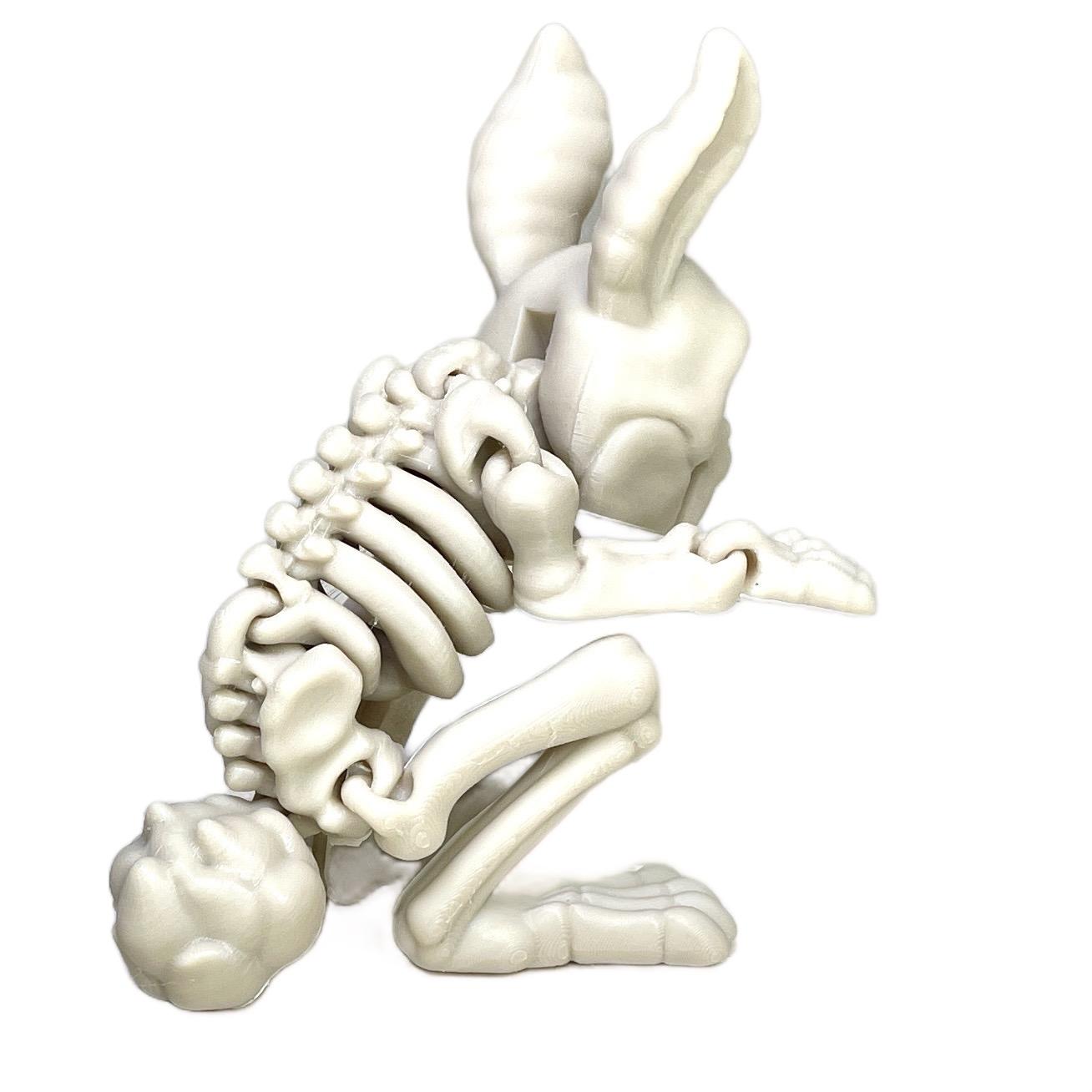 Skeleton Rabbit