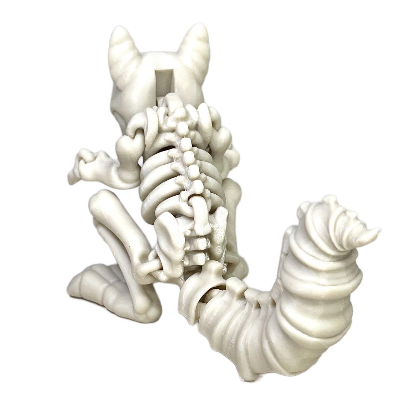 Skeleton Squirrel